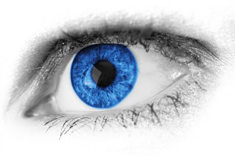 La Neurothérapie par mouvements oculaires pour aider au traitement des traumatismes et des phobies
